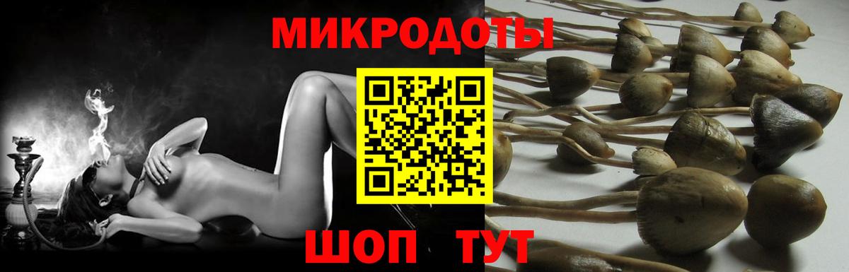 Псилоцибиновые грибы MAGIC MUSHROOMS Магадан